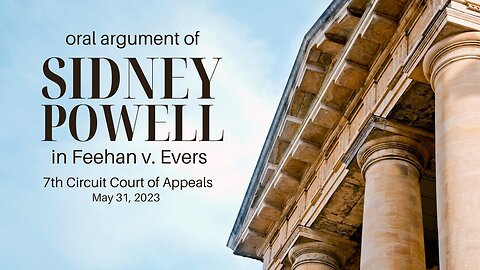 Oral argument of Sidney Powell in Feehan v. Evers