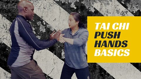 Kung Fu Training | Tai Chi | Push Hands | Basics