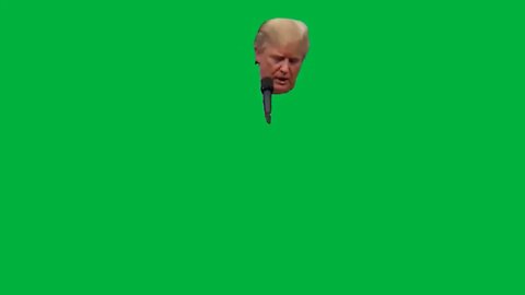 Green Screen – Donald Trump Tells Protester 'Go Home To Mommy' _ NBC News 720p