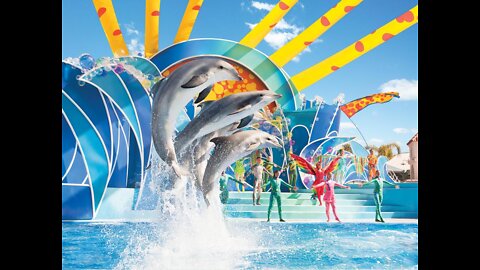 The Complete SeaWorld 'Blue Horizons' Dolphin Show