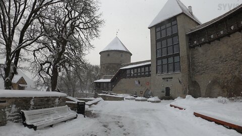 Danish King's Garden in Winter