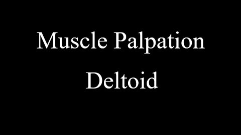 Muscle Palpation - Deltoid