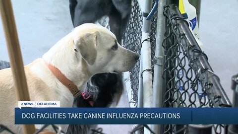 Precautions for canine influenza