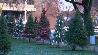 Students decorate Christmas trees for 24th annual Milwaukee Holiday Lights Festival