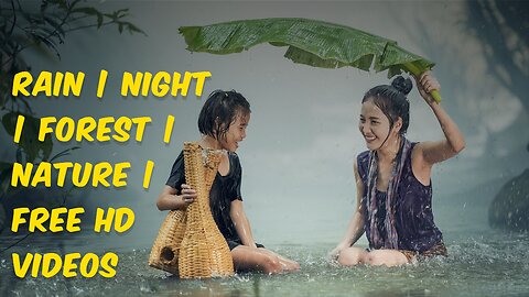 Rain | Night | Forest | Nature | Free HD Videos | Love this Video