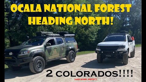 Ocala National Forest - Trail Ride Heading North - ZR2 Bison, a Colorado WT, and some Jeeps