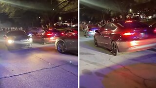 Deer causes chaos at car meet by smacking into vehicle