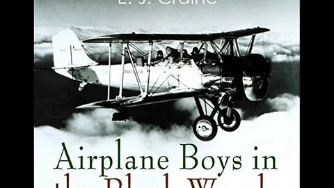Airplane Boys in the Black Woods by E.J. Craine - Audiobook