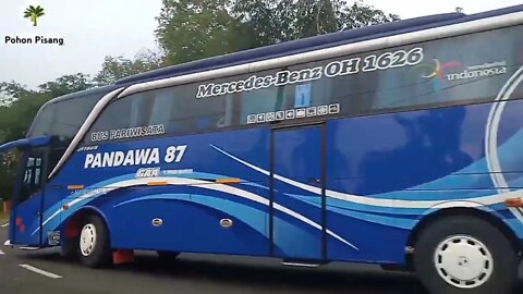 Bus Pandawa 87 Konvoi Oleng Telolet Mengular