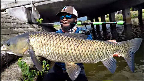 Are Grass Carp Donut Eaters? with Monster Mike while fishing