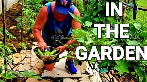 In The Tropical Garden Ep. #1 in Ban Chang Rayong #eatlocal #vegetablegarden #tropicalgardens