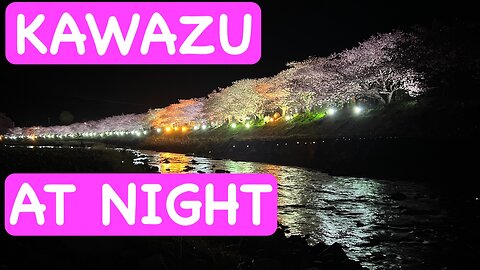 Kawazu Sakura at Night (夜桜@河津桜祭り）