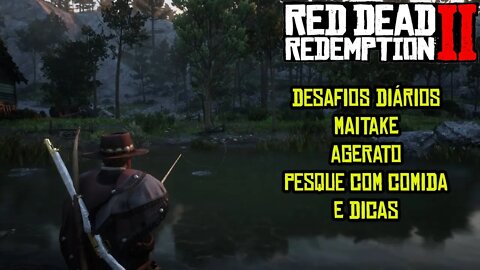 RED DEAD REDEMPTION 2 - MAPAS DO TESOURO DOS MARCOS DA RIQUEZA
