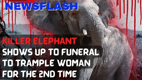 NEWSFLASH: An Elephant Shows up to Indian Woman's Funeral to Trample Her for 2nd Time!