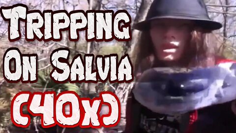 LIVE SALVIA TRIP REPORT (SALVIA 40X)