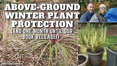 🥶 Winter Plant Protection | Winter Gardening - SGD 315 🥶
