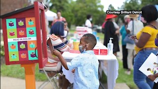 Detroit organization partners with Little Free Library to get diverse books into hands of local kids