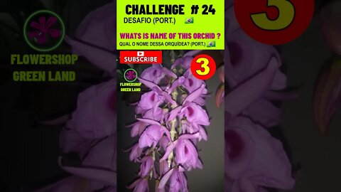CHALLENGE # 24 |WHATS IS NAME OF THIS ORCHIDS?|YOU WANT TO LEARN? |# SHORT