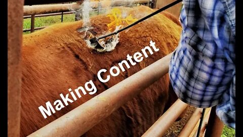 PAINS of Making Content (In the Chute - Round #90)