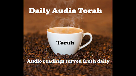 Listen to Daily Audio Torah!