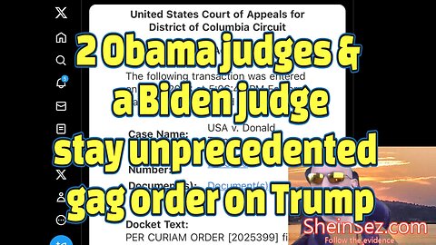 2 Obama judges & a Biden judge stay unprecedented gag order on Trump-SheinSez 342