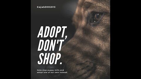 Adopt me!!Don't Shop...