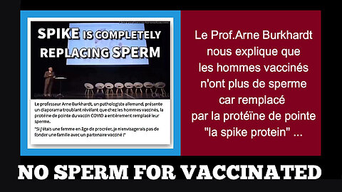 La "spike protéïn"du vaccin remplacerait le sperme chez les hommes vaccinés ... (Hd 720)