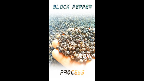 Black pepper production process