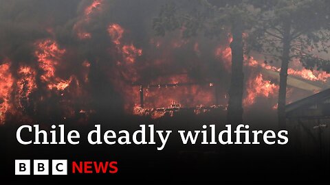 Chile forest fires: At least 51 dead, say officials | BBC News