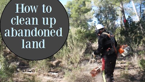 How to clean up abandoned land and what tools to use? Chainsaw brush cutter at use