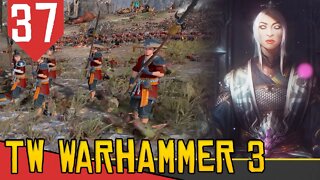 YARI ASHIGARU e a DEFESA FILOSOFAL - Total War Warhammer 3 Cathay #37 [Gameplay Português PT-BR]