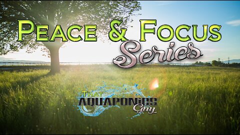 Intro to Peace and Focus Series - a resource for reaching and maintaining your peace of mind