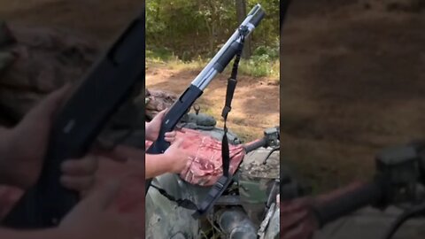 Winchester SXP Defender shotgun ASMR Gun sounds