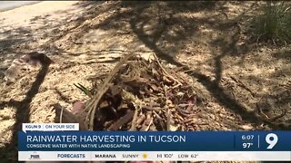 Rainwater harvesting in Tucson