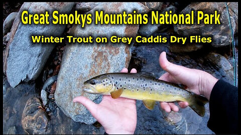 Fly Fishing Great Smoky Mountains NP | Wintertime Slim Pickins