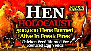 ATTACK ON FOOD SUPPLY: 500,000 Hens Burned Alive In Tandem With WEAPONIZED Chicken Feed?!