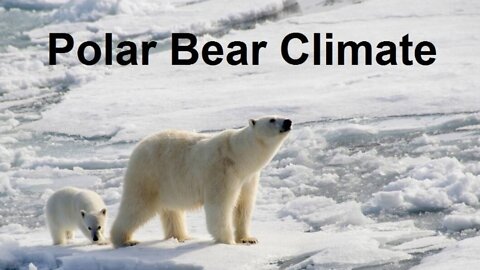 Polar Bear Climate