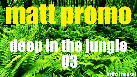 MATT PROMO - Deep In The Jungle 03 (01.04.2003)