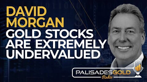 David Morgan: Gold Stocks are Extremely Undervalued