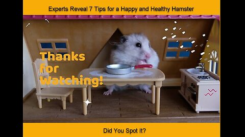 Experts Reveal 7 Tips for a Happy and Healthy Hamster