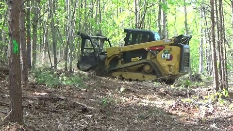 Forestry Mulching Mistakes And Misunderstandings To Stop Making