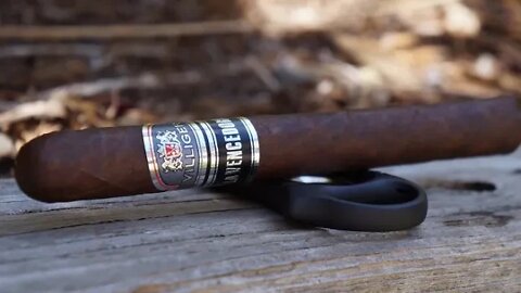 Team Review Recap: Villiger La Vencedora Churchill