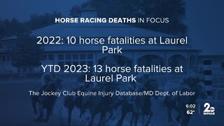 Horse Racing Deaths: Breaking Down the Numbers