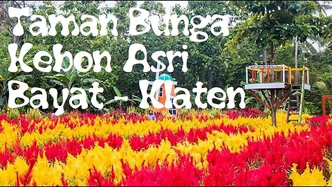 Beautiful Flower Garden - Klaten || Central Java Instagramable Tourism