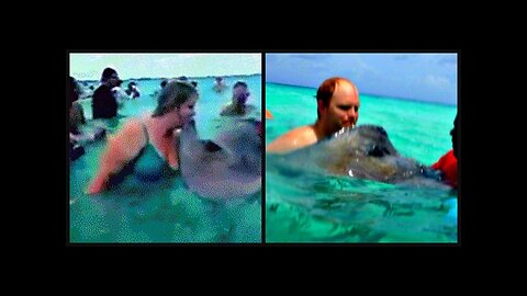 Kissing a sting ray durning a storm