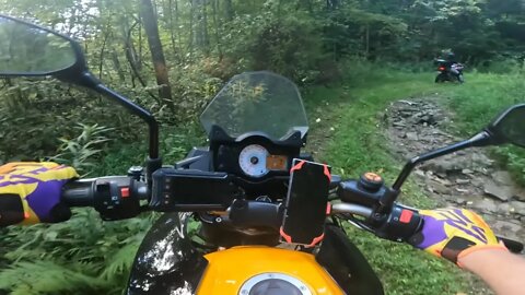 Dodging rocks on the way up Laurel Creek! (VERSYS 650 OFFROAD)