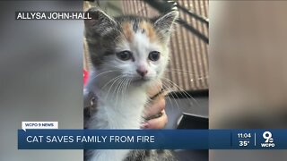 Kitten saves family from house fire