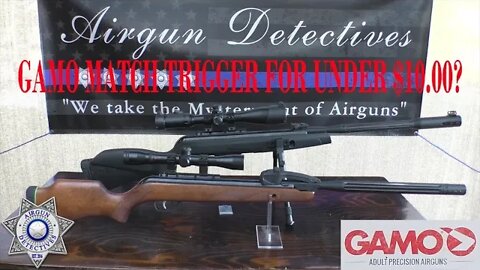 Gamo match trigger for under $10.00? How to upgrade your trigger by Airgun Detectives