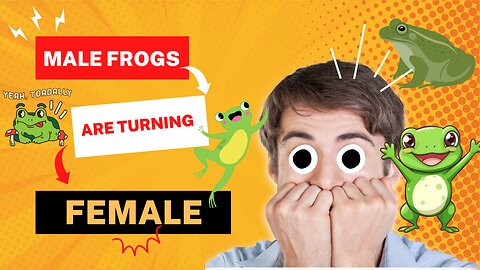 Male Frogs Are Turning Female