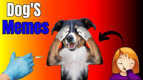 Dogs 🐶 Cute and Funny Animals Videos Compilation #viraldogs #dogslife #animals #funny #31